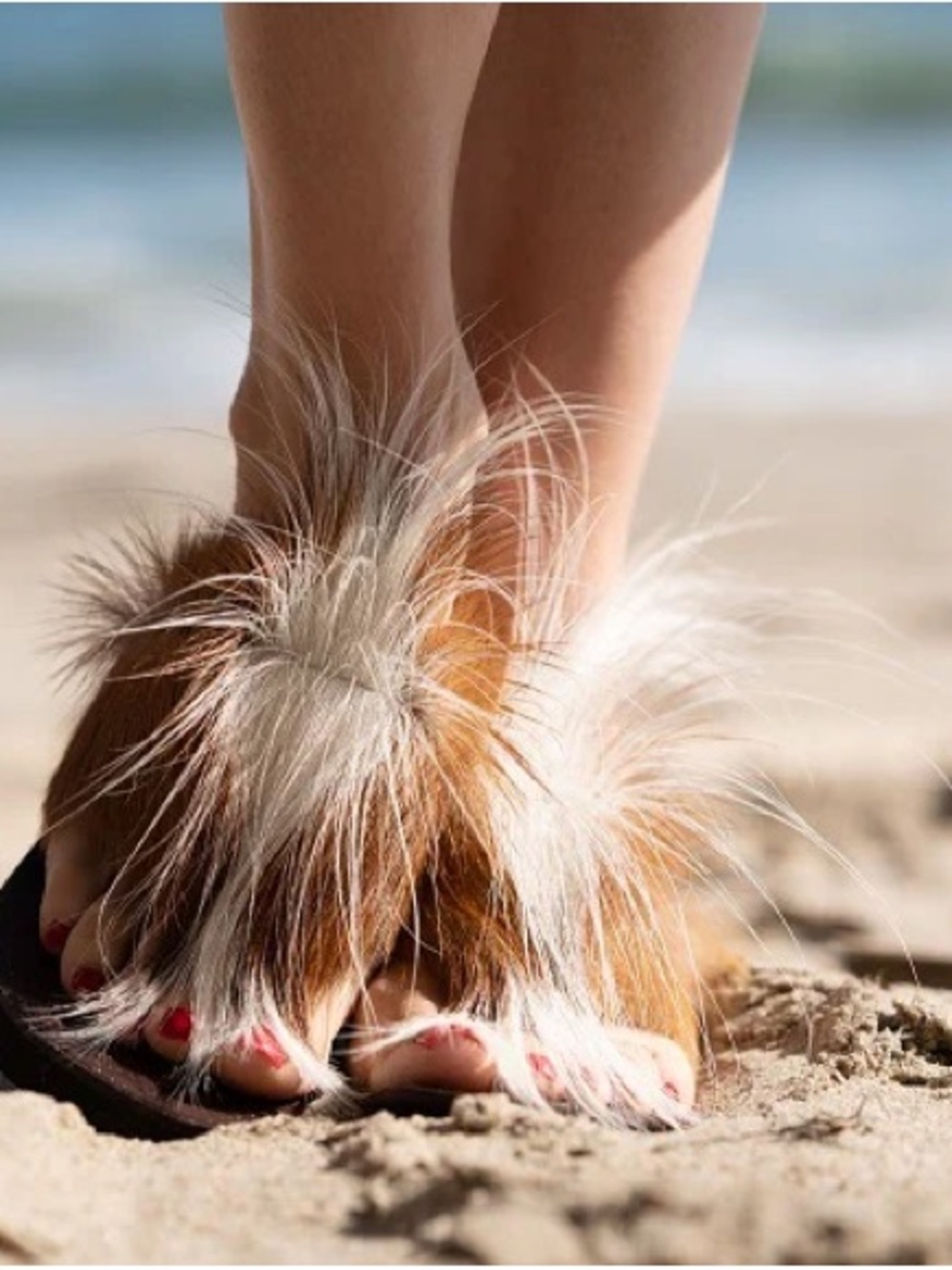 Cape Plakkies